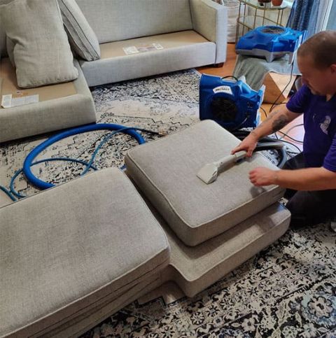 Gallery image 3 — eco-friendly carpet cleaning Orlando