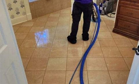 Gallery image 8 — eco-friendly carpet cleaning Orlando