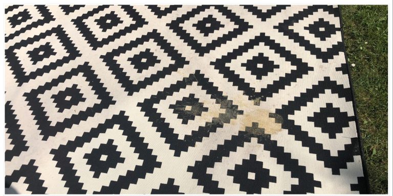 carpet cleaning Orlando FL