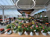 Gallery image 7 — professional landscaping Westbury