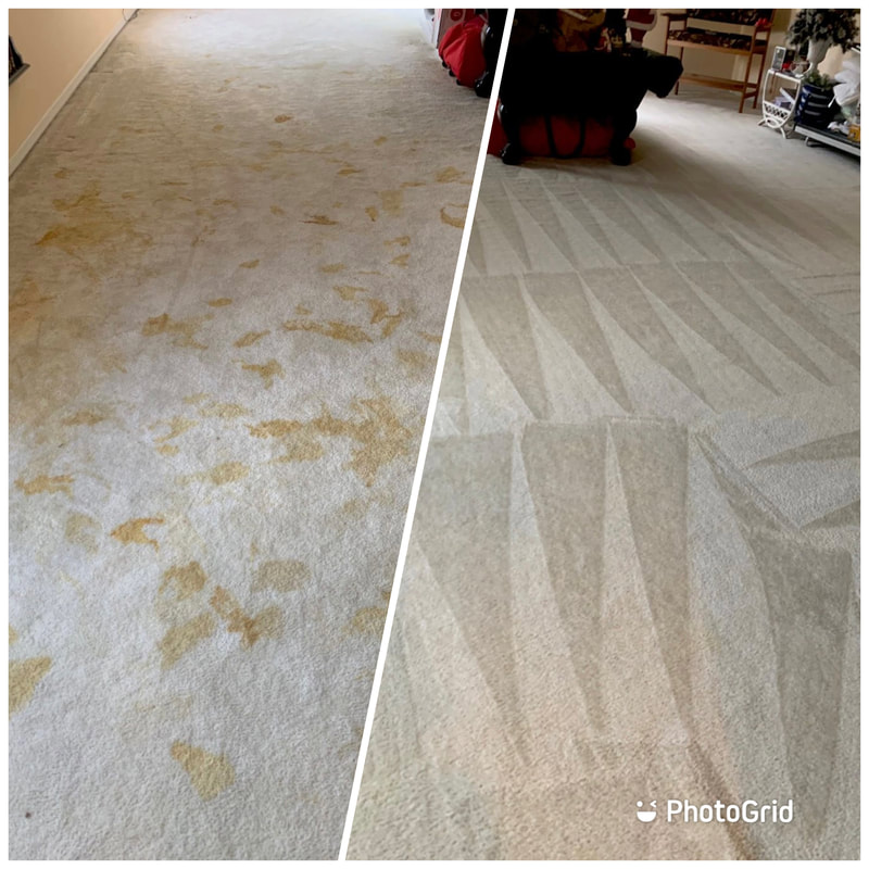 Gallery image 6 — tile and grout cleaning Orlando