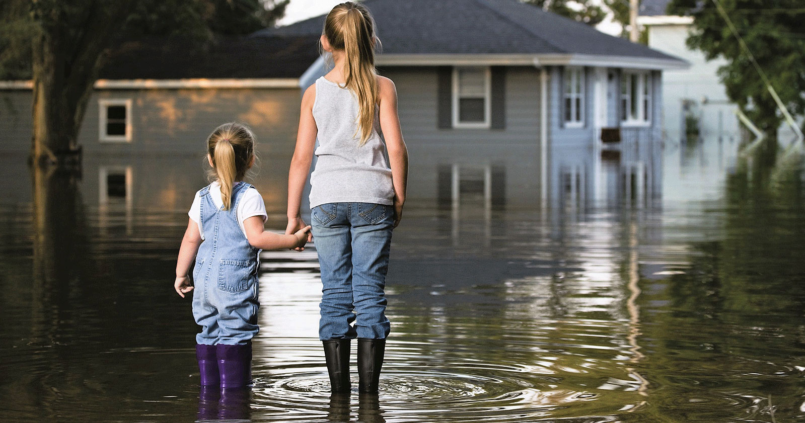 Gallery image 4 — storm recovery services Tampa