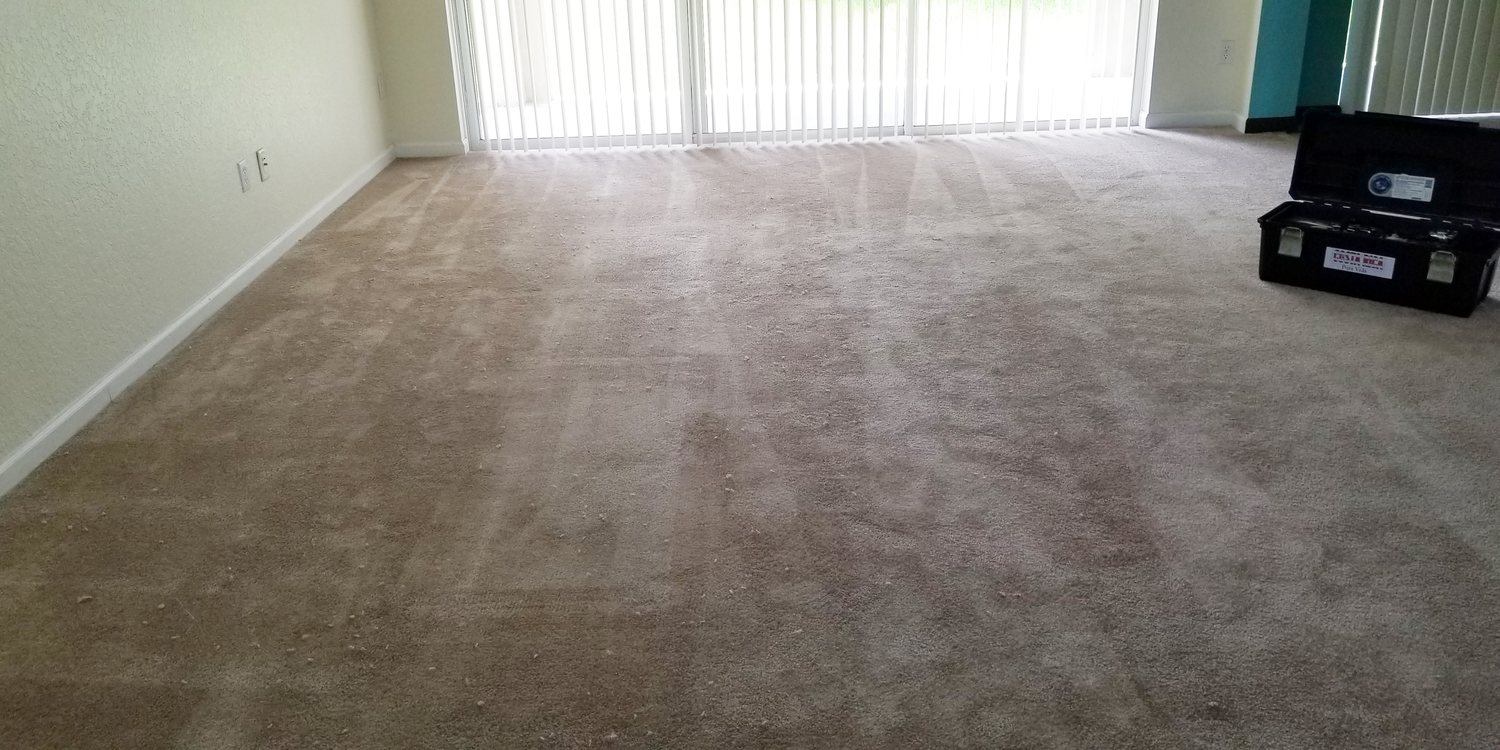 Gallery image 4 — carpet patches Orlando