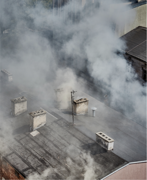 Gallery image 6 — mold remediation for schools Tampa Bay
