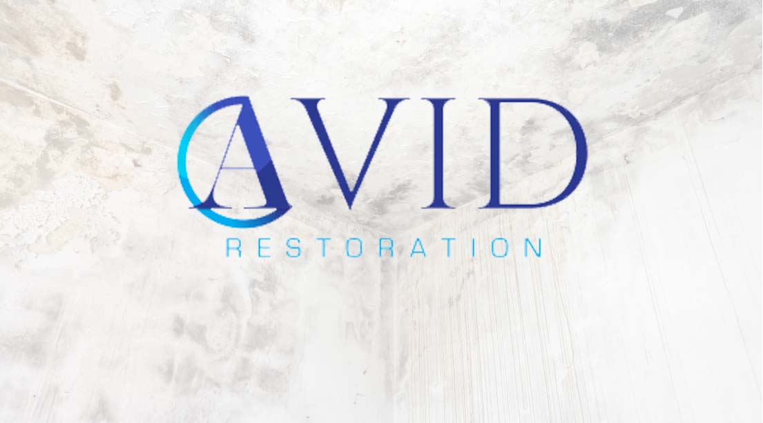 Gallery image 1 — mold remediation for schools Tampa Bay