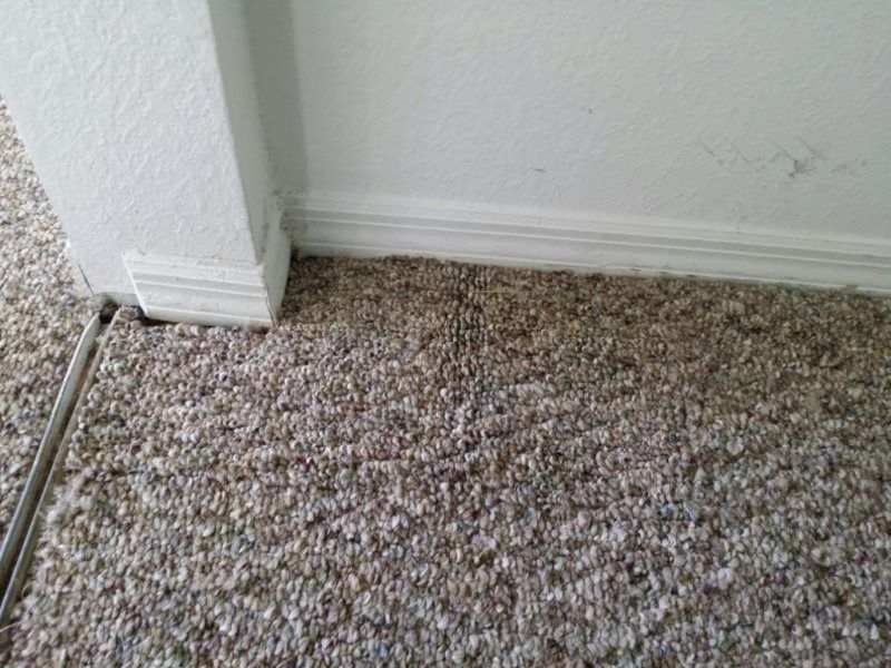 Gallery image 4 — best carpet cleaning in Orlando