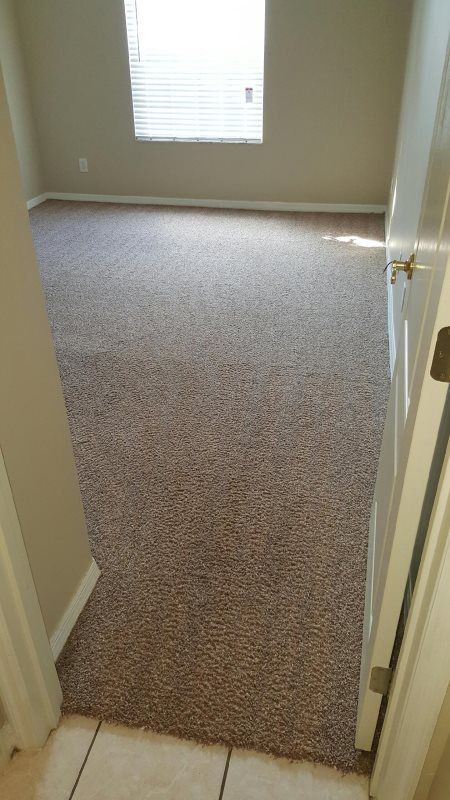Gallery image 3 — best carpet cleaning in Orlando