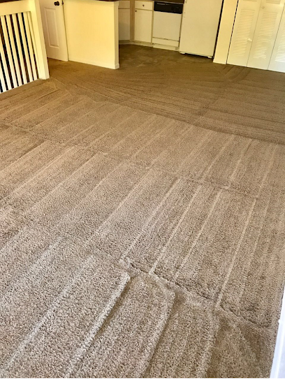 Gallery image 2 — best carpet cleaning in Orlando