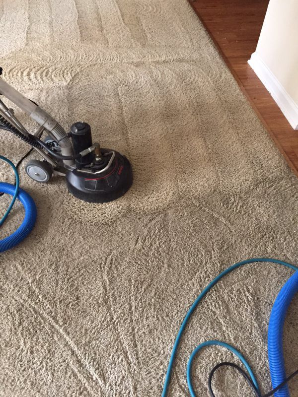 Gallery image 1 — best carpet cleaning in Orlando