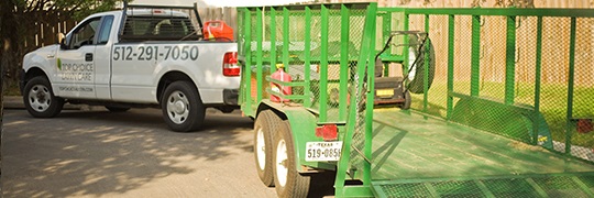 Gallery image 9 — tree trimming Austin