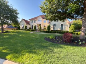 Gallery image 7 — tree trimming Austin