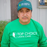 sod installation Austin