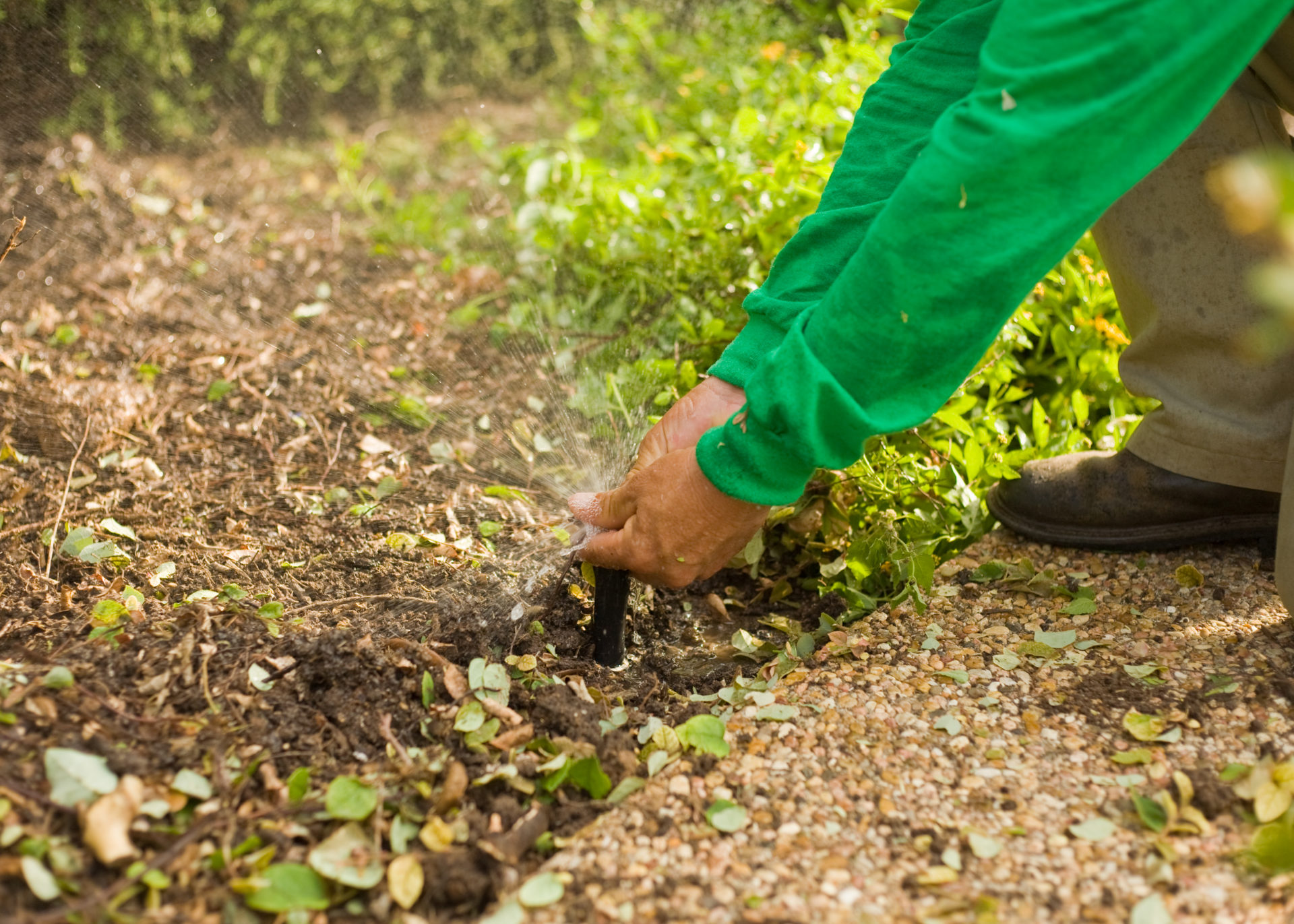 Gallery image 10 — tree trimming Austin