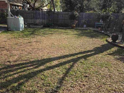 leaf removal in Austin