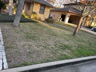 Gallery image 3 — leaf removal in Austin