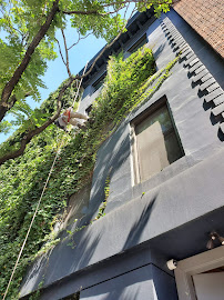 About yard clean up Bronx