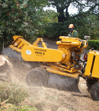 Gallery image 8 — yard clean up Bronx