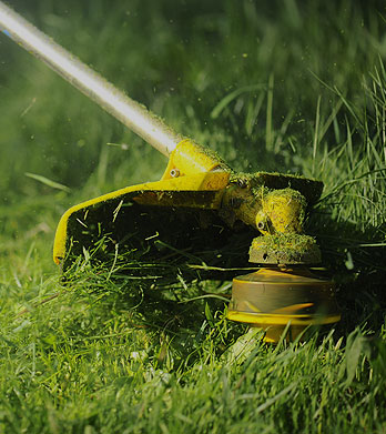 Gallery image 10 — yard clean up Bronx