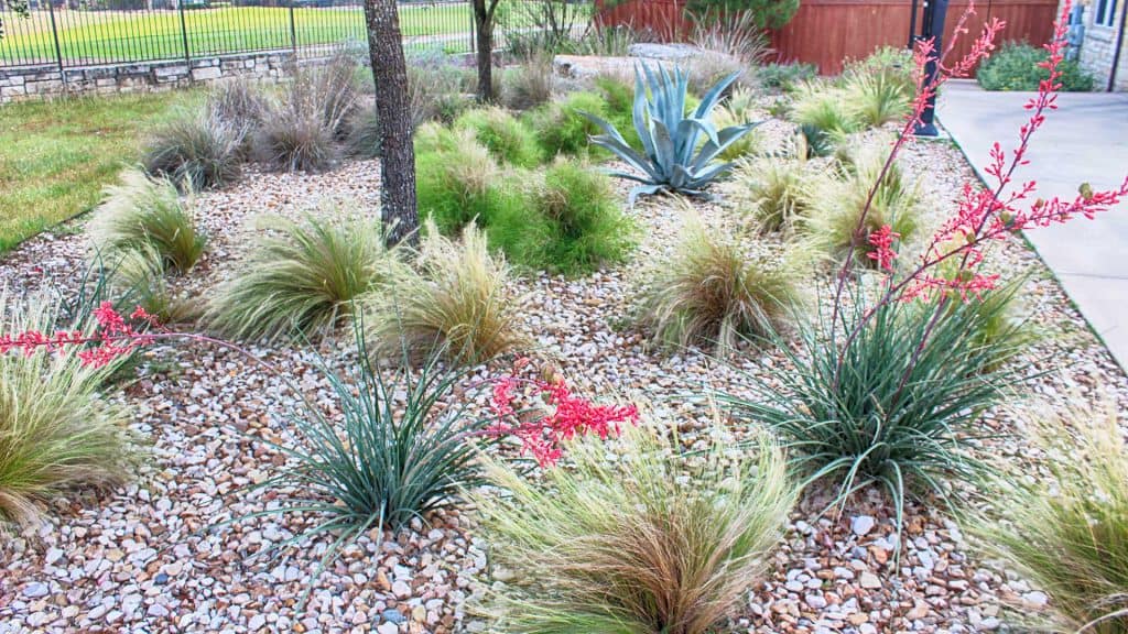 Gallery image 1 — best landscapers in Austin