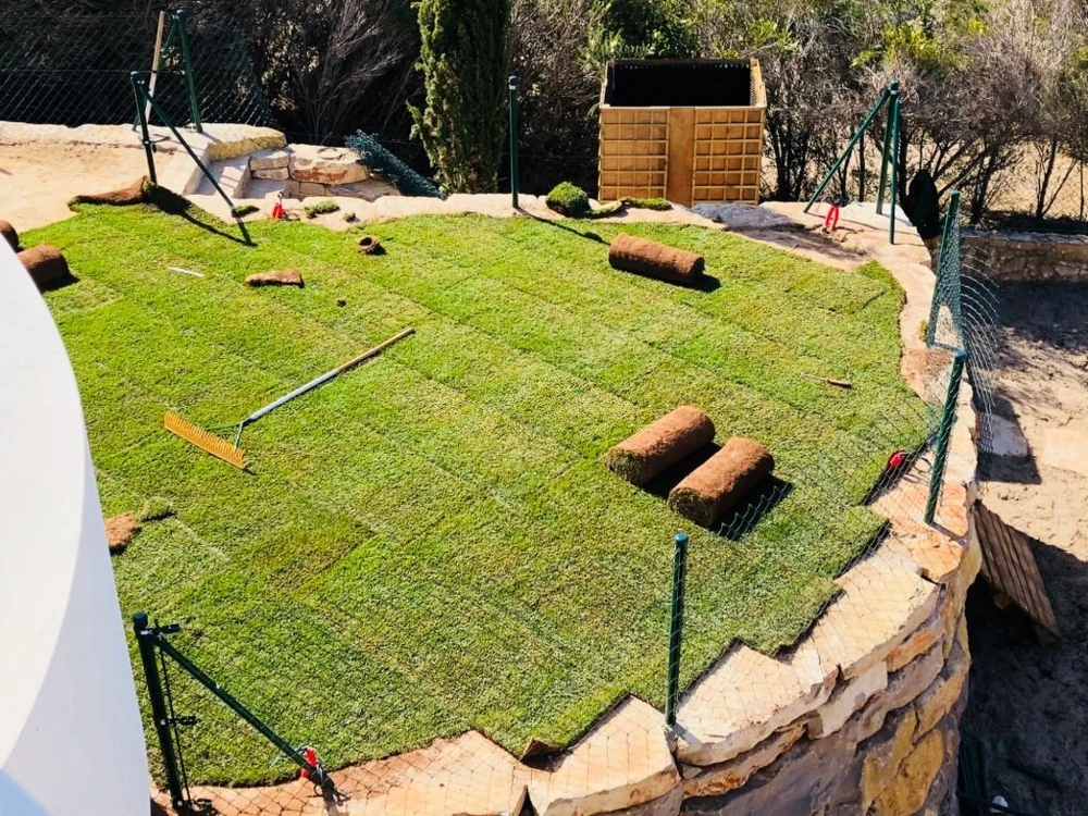 Gallery image 8 — emergency tree removal Austin