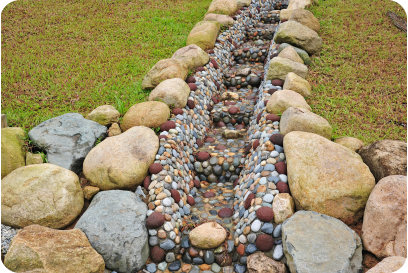 Gallery image 2 — emergency tree removal Austin