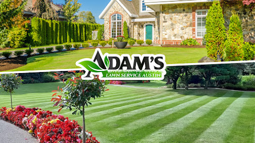 Gallery image 5 — emergency tree removal Austin