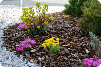 Gallery image 1 — emergency tree removal Austin