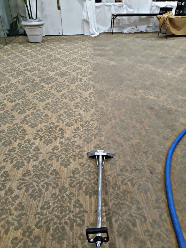 Gallery image 6 — Izzy Does It Carpet Cleaning