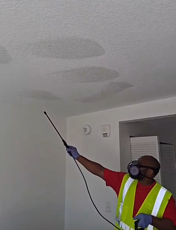 affordable upholstery cleaning Izzy Does It Carpet Cleaning