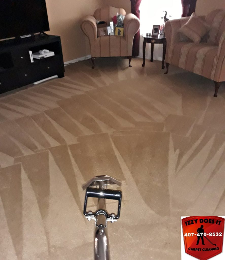 Gallery image 8 — Izzy Does It Carpet Cleaning