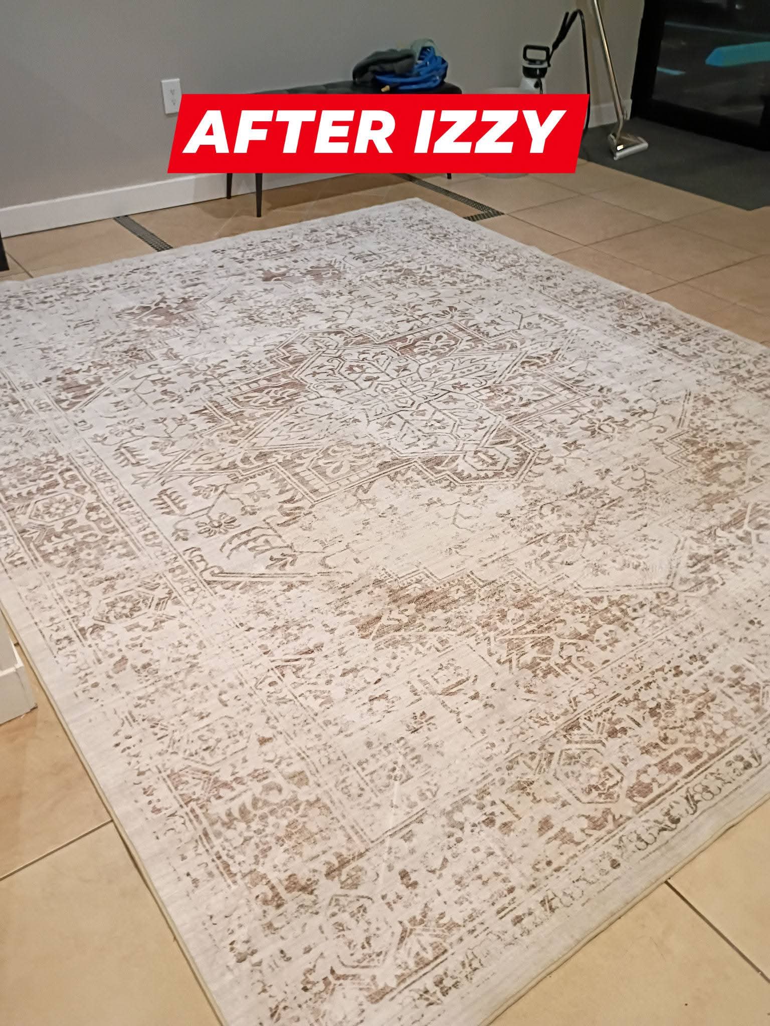 Gallery image 3 — Izzy Does It Carpet Cleaning