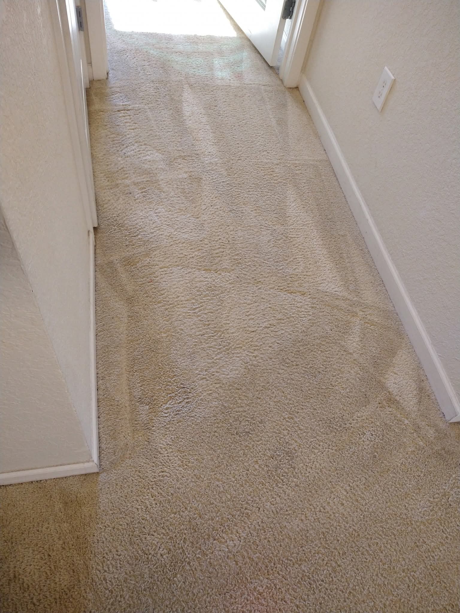 Gallery image 11 — Izzy Does It Carpet Cleaning