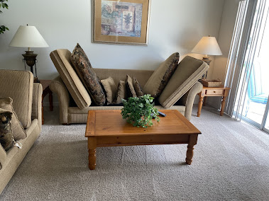 About eco-friendly carpet cleaning in Orlando