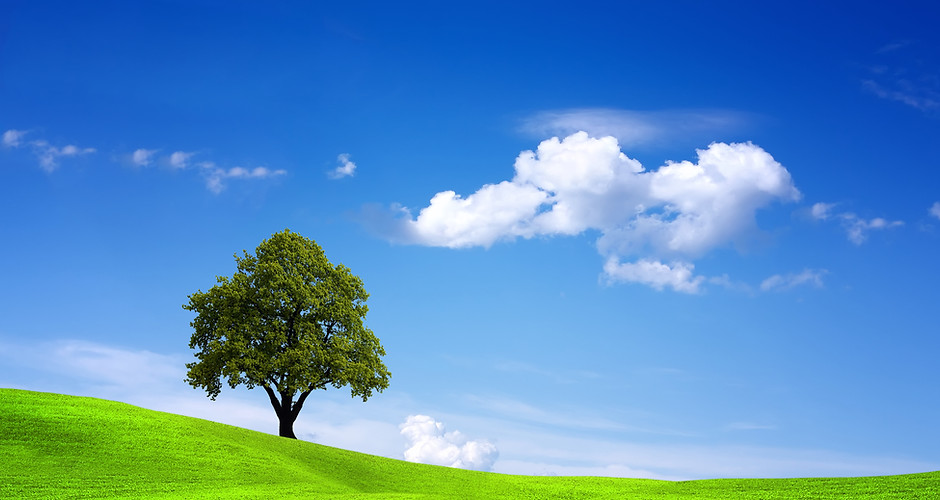 eco-friendly carpet cleaning in Orlando