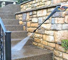 Gallery image 4 — eco-friendly carpet cleaning in Orlando