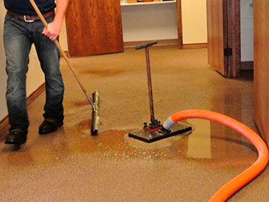 Gallery image 8 — ProKlean
