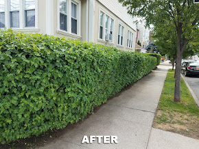 About landscaping services Westchester County