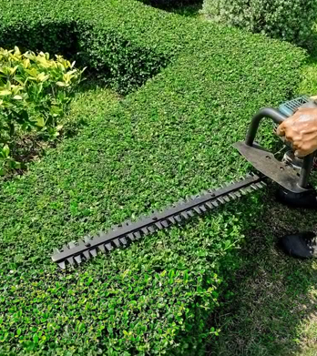 Gallery image 3 — landscaping services Westchester County