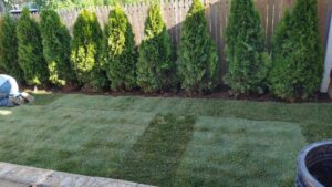 Gallery image 3 — weekly lawn mowing service near me