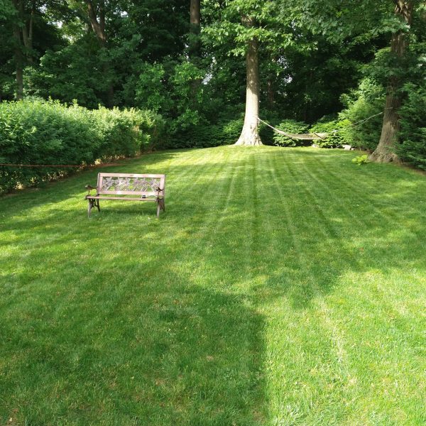 Gallery image 1 — weekly lawn mowing service near me