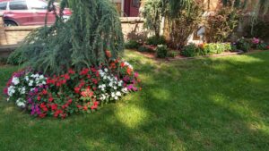 Gallery image 6 — weekly lawn mowing service near me