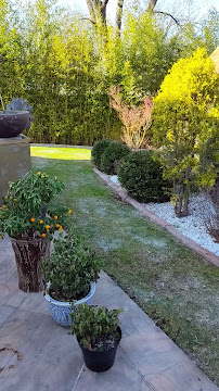 About weekly lawn mowing service near me