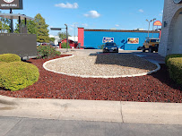 Gallery image 9 — tree trimming services Austin
