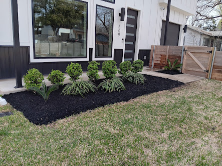 tree and shrub care near me