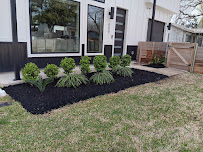 Gallery image 6 — tree trimming services Austin