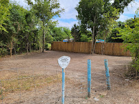 Gallery image 2 — tree trimming services Austin