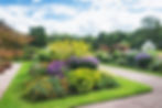 Gallery image 1 — tree trimming services Austin