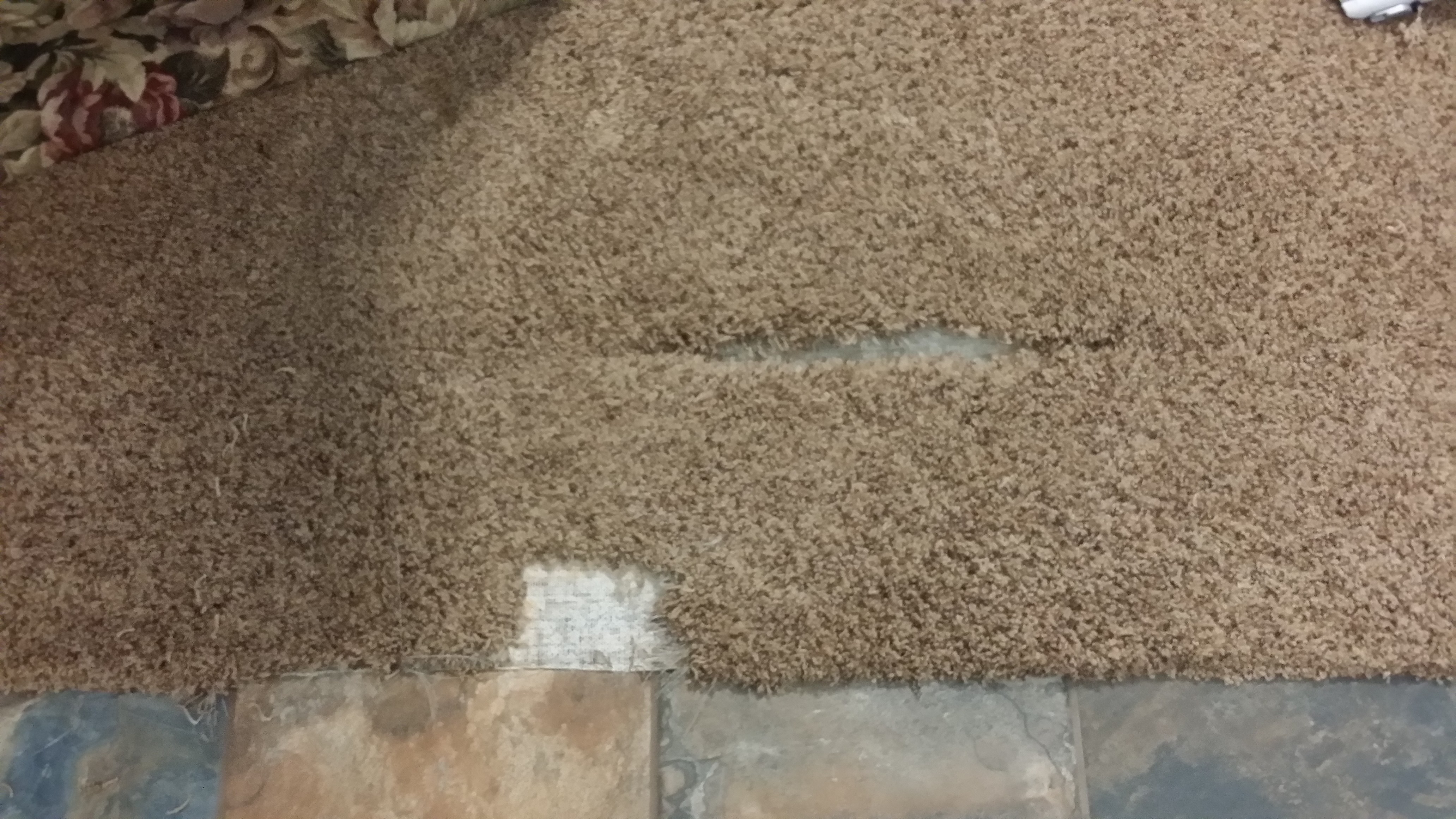 affordable carpet repair Orlando