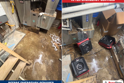 Gallery image 2 — sewage backup cleanup Farmers Branch