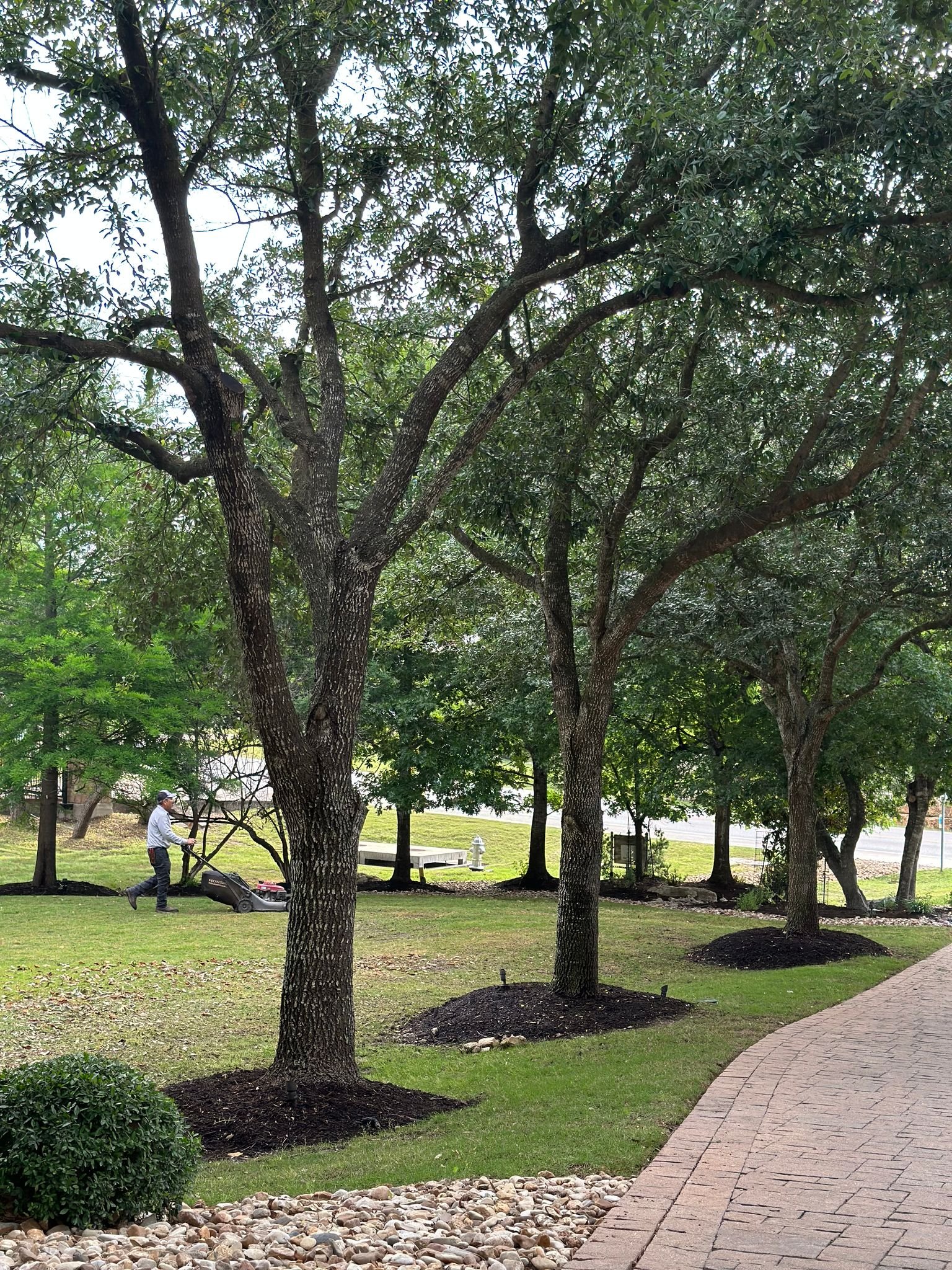 Gallery image 5 — garden design in Steiner Ranch